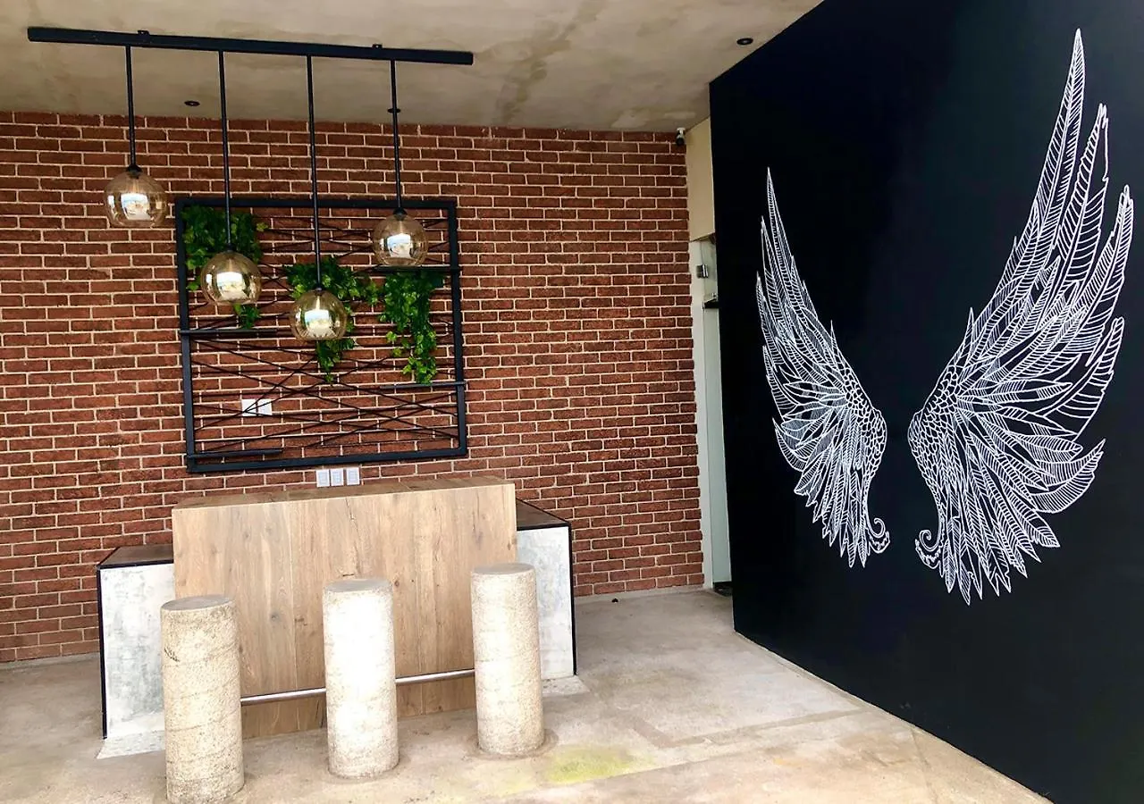 Vintage And Modern Studio Con Alberca En Rooftop Believe بلايا ديل كارمن